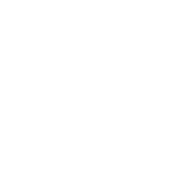 CFMOTO logo