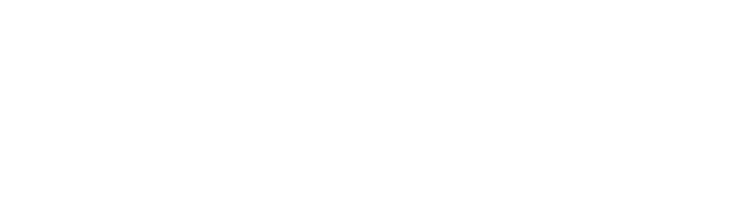 Ninja ZX-10R