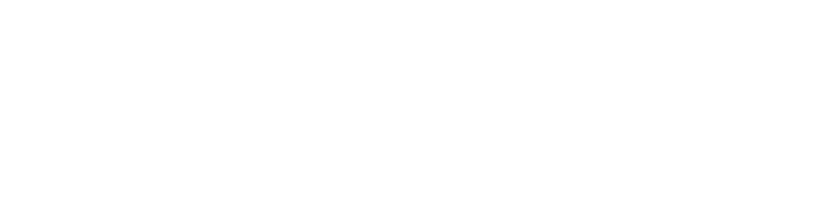 Ninja ZX-14R